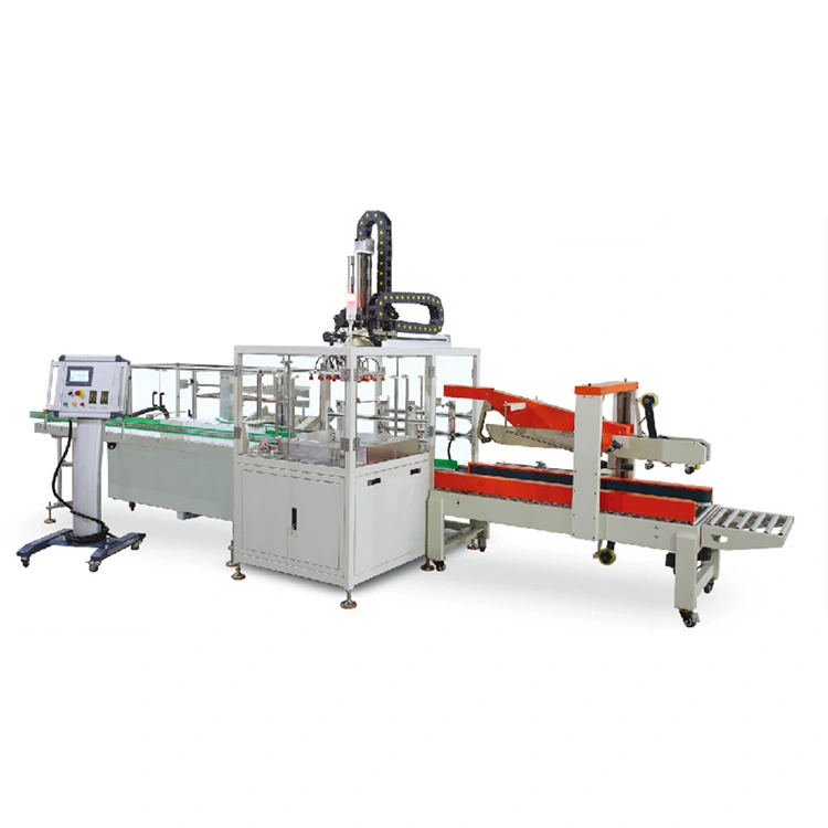 Automatic case packing machine with Mechanical hand